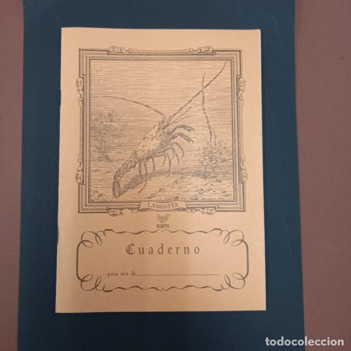 Escriban&iacute;a: Cuaderno sam langosta - Foto 1