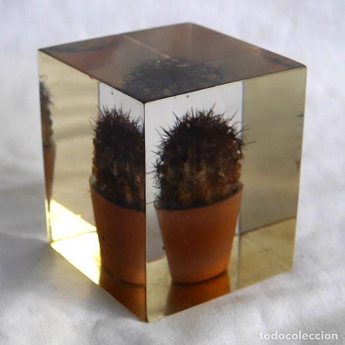 Escriban&iacute;a: Pisapapeles de pl&aacute;stico inyectado, cactus en maceta - Foto 1