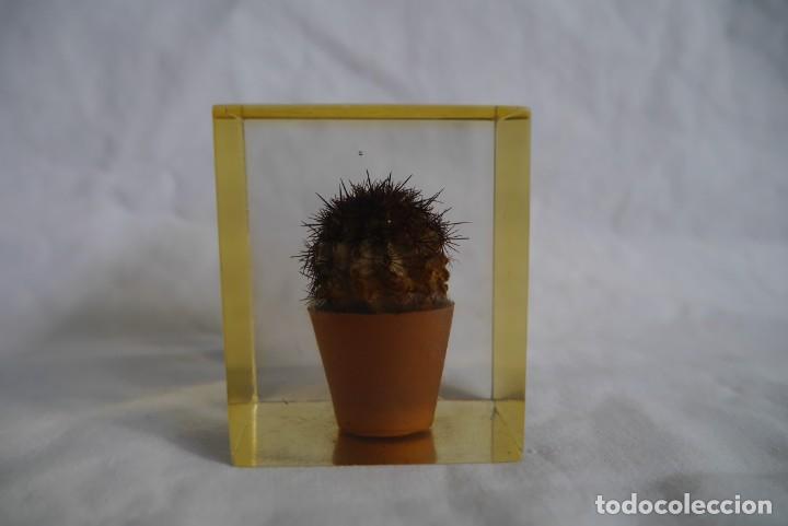 Escriban&iacute;a: Pisapapeles de pl&aacute;stico inyectado, cactus en maceta - Foto 3