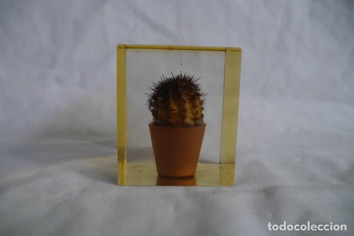 Escriban&iacute;a: Pisapapeles de pl&aacute;stico inyectado, cactus en maceta - Foto 4