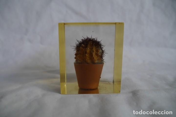 Escriban&iacute;a: Pisapapeles de pl&aacute;stico inyectado, cactus en maceta - Foto 5