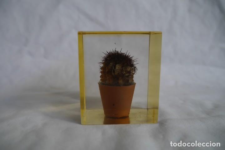 Escriban&iacute;a: Pisapapeles de pl&aacute;stico inyectado, cactus en maceta - Foto 6