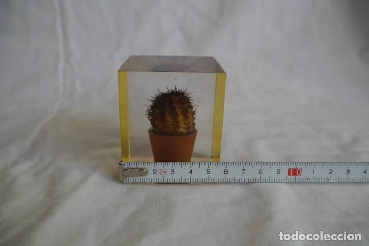 Escriban&iacute;a: Pisapapeles de pl&aacute;stico inyectado, cactus en maceta - Foto 9