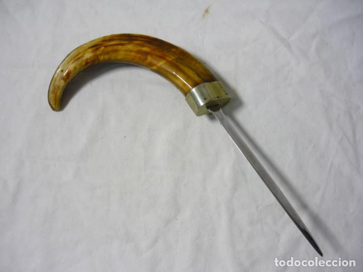 Escriban&iacute;a: Abrecartas de acero, mango de colmillo de jabal&iacute; - Foto 3