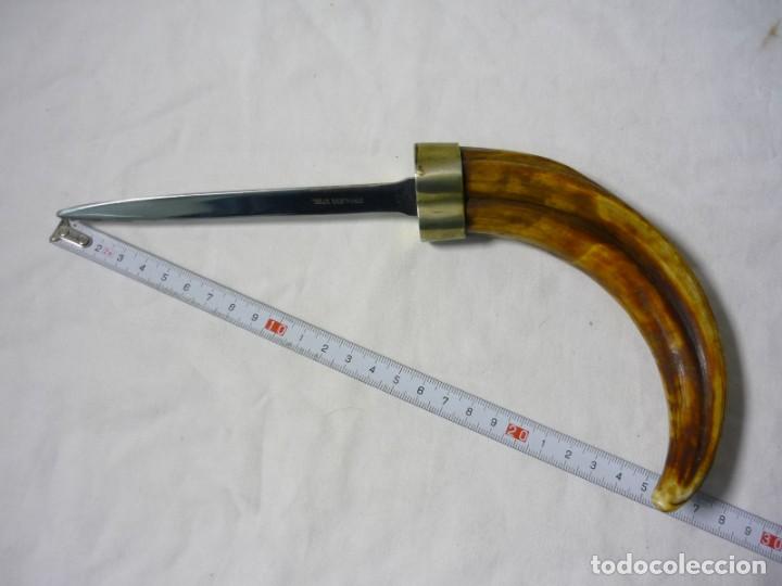 Escriban&iacute;a: Abrecartas de acero, mango de colmillo de jabal&iacute; - Foto 10