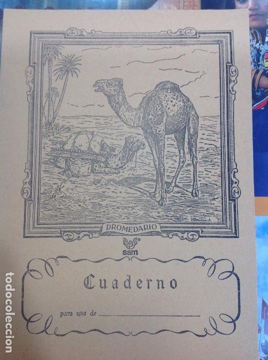 Escriban&iacute;a: Cuaderno escuela animales - Foto 1