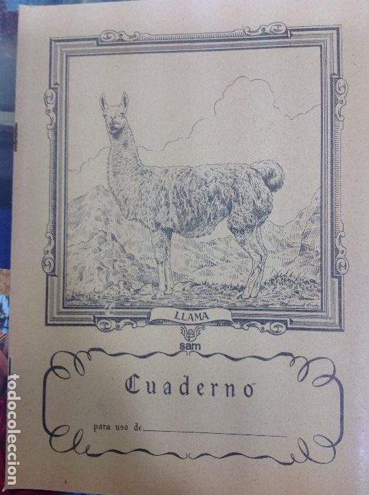 Escriban&iacute;a: Cuaderno escuela animales sam llama - Foto 1