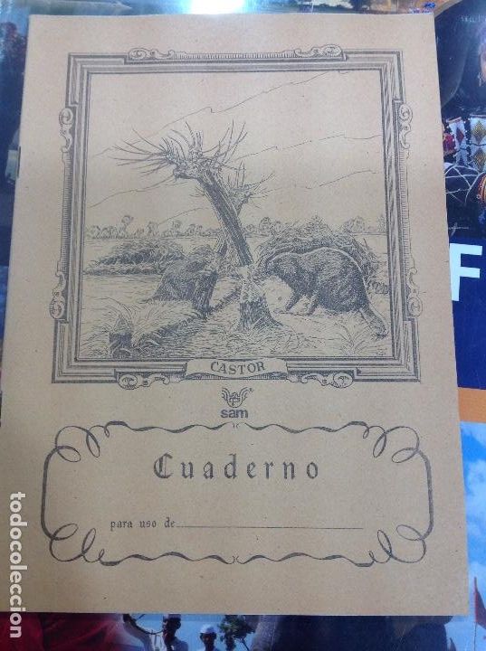 Escriban&iacute;a: Cuaderno escuela animales sam castor - Foto 1