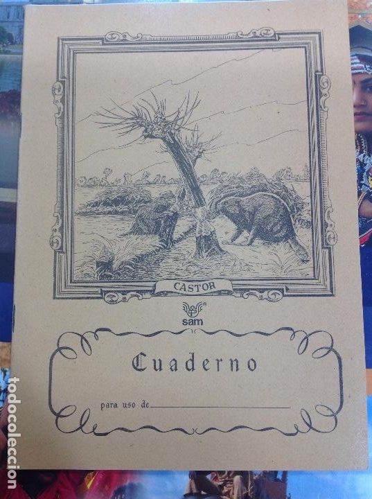 Escriban&iacute;a: Cuaderno escuela animales sam castor - Foto 1