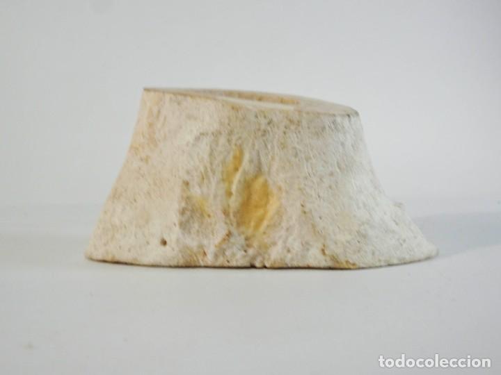 Escriban&iacute;a: Hueso de Vaca Trozo Cortado - Foto 6