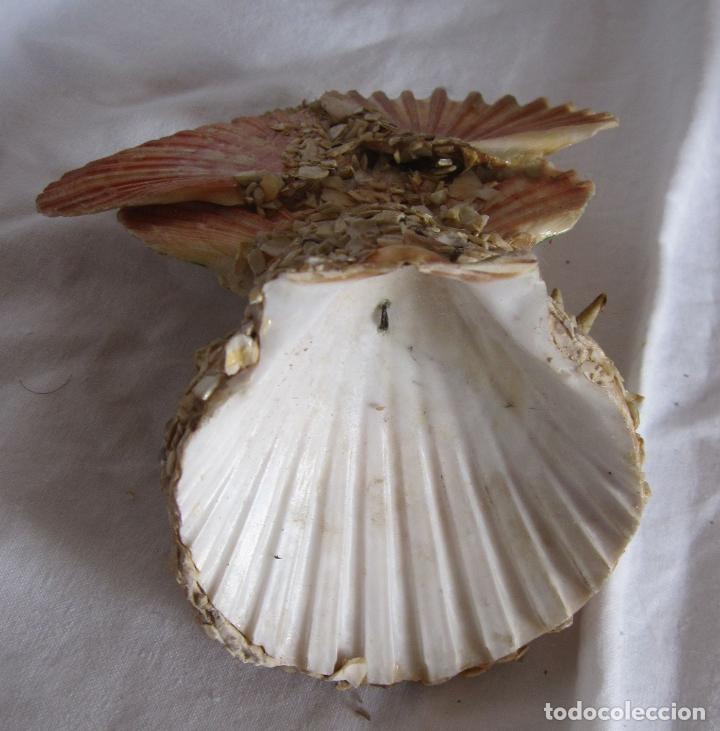 Escriban&iacute;a: 2 TINTEROS RECUERDO DE PALAMOS, COMPOSICI&Oacute;N DE CONCHAS... - Foto 5