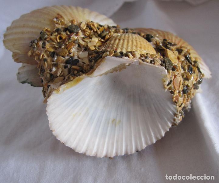 Escriban&iacute;a: 2 TINTEROS RECUERDO DE PALAMOS, COMPOSICI&Oacute;N DE CONCHAS... - Foto 10