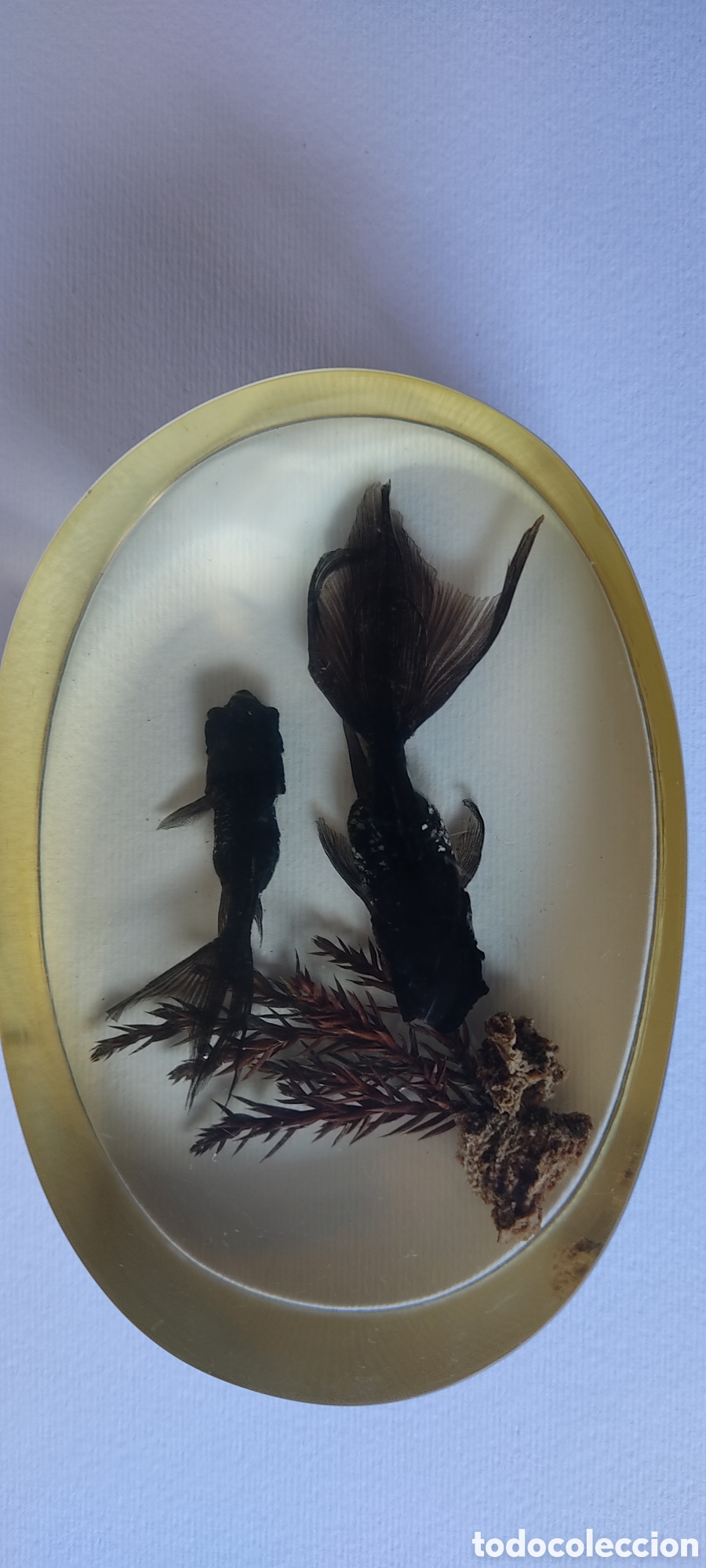Escriban&iacute;a: CURIOSO PISAPAPELES CON DOS PECES BETTA EN SU INTERIOR. - Foto 2