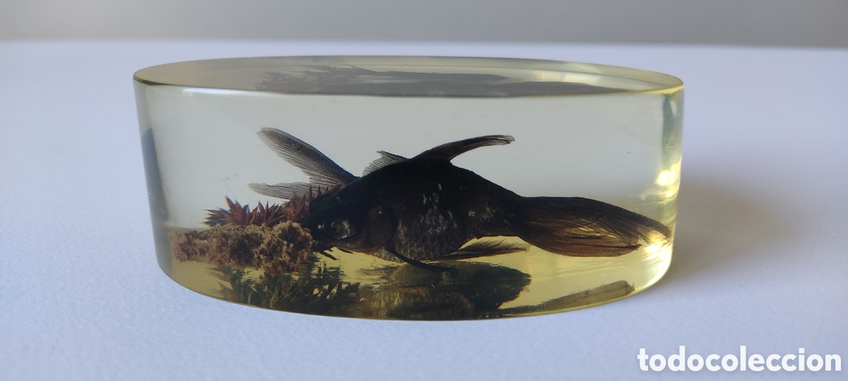 Escriban&iacute;a: CURIOSO PISAPAPELES CON DOS PECES BETTA EN SU INTERIOR. - Foto 3
