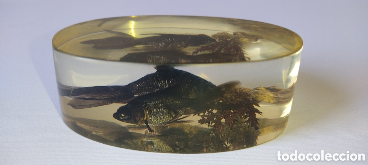 Escriban&iacute;a: CURIOSO PISAPAPELES CON DOS PECES BETTA EN SU INTERIOR. - Foto 4