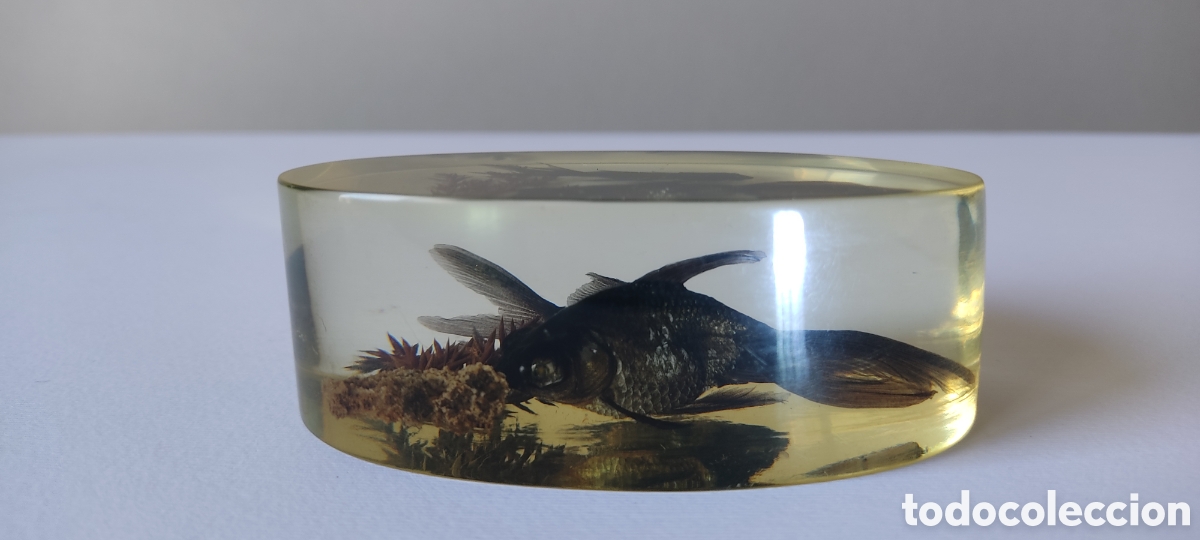 Escriban&iacute;a: CURIOSO PISAPAPELES CON DOS PECES BETTA EN SU INTERIOR. - Foto 7
