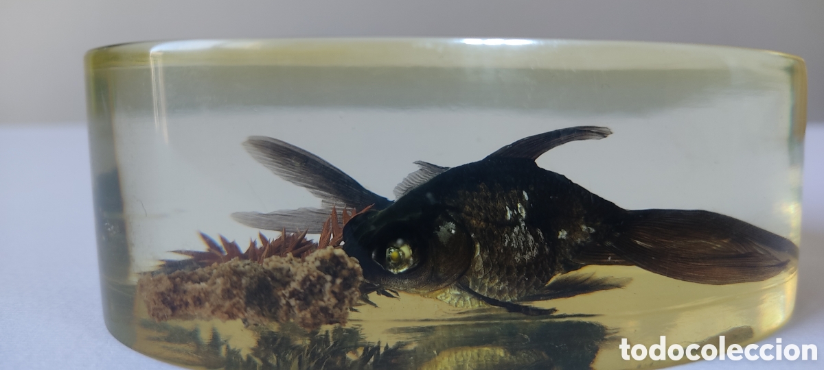 Escriban&iacute;a: CURIOSO PISAPAPELES CON DOS PECES BETTA EN SU INTERIOR. - Foto 8