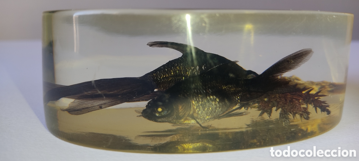 Escriban&iacute;a: CURIOSO PISAPAPELES CON DOS PECES BETTA EN SU INTERIOR. - Foto 10