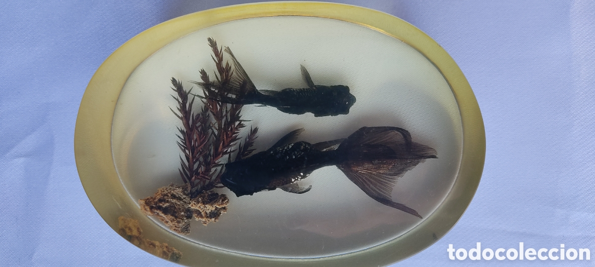 Escriban&iacute;a: CURIOSO PISAPAPELES CON DOS PECES BETTA EN SU INTERIOR. - Foto 13