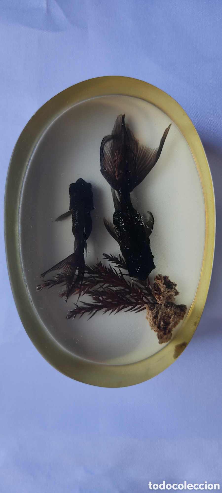 Escriban&iacute;a: CURIOSO PISAPAPELES CON DOS PECES BETTA EN SU INTERIOR. - Foto 1
