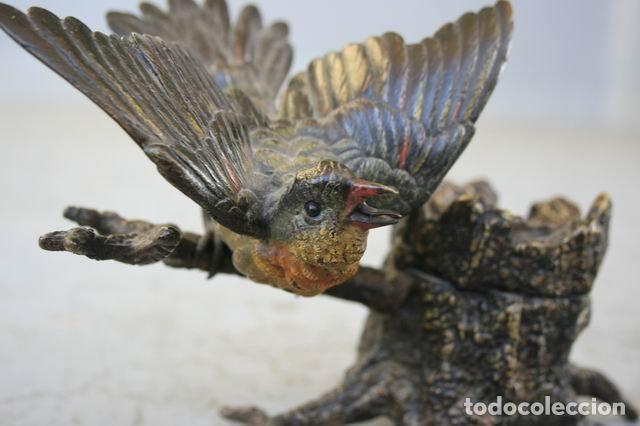 Escriban&iacute;a: Bronze de vienne XIX&egrave;me encrier oiseau - Foto 7