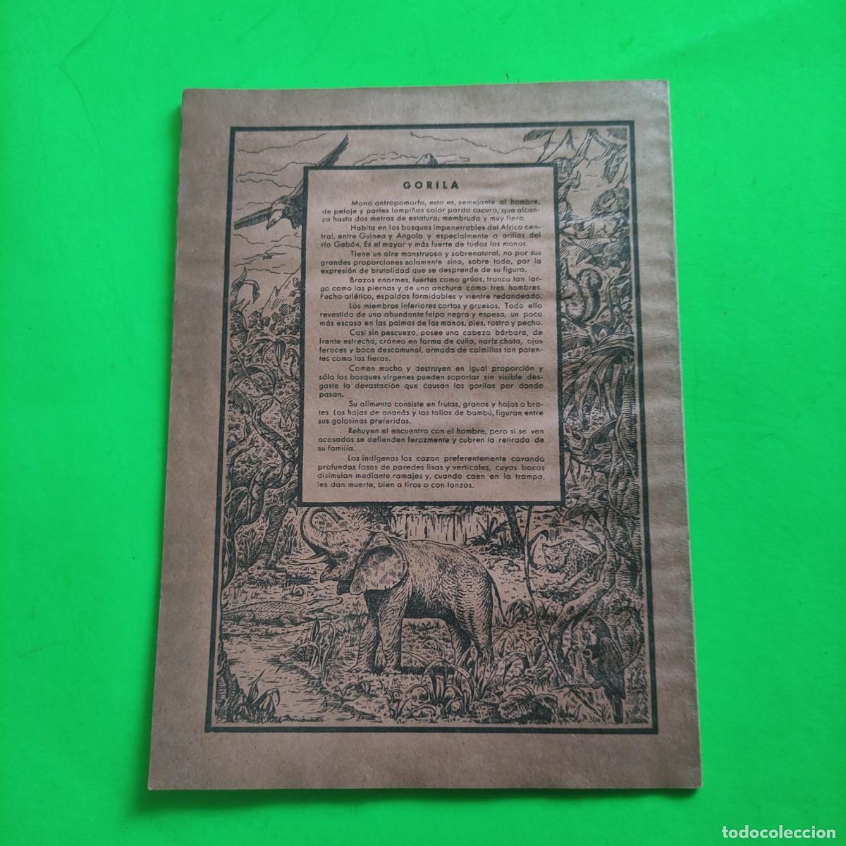 Escriban&iacute;a: CUADERNO SAM . GORILA ** JUANI - Foto 2