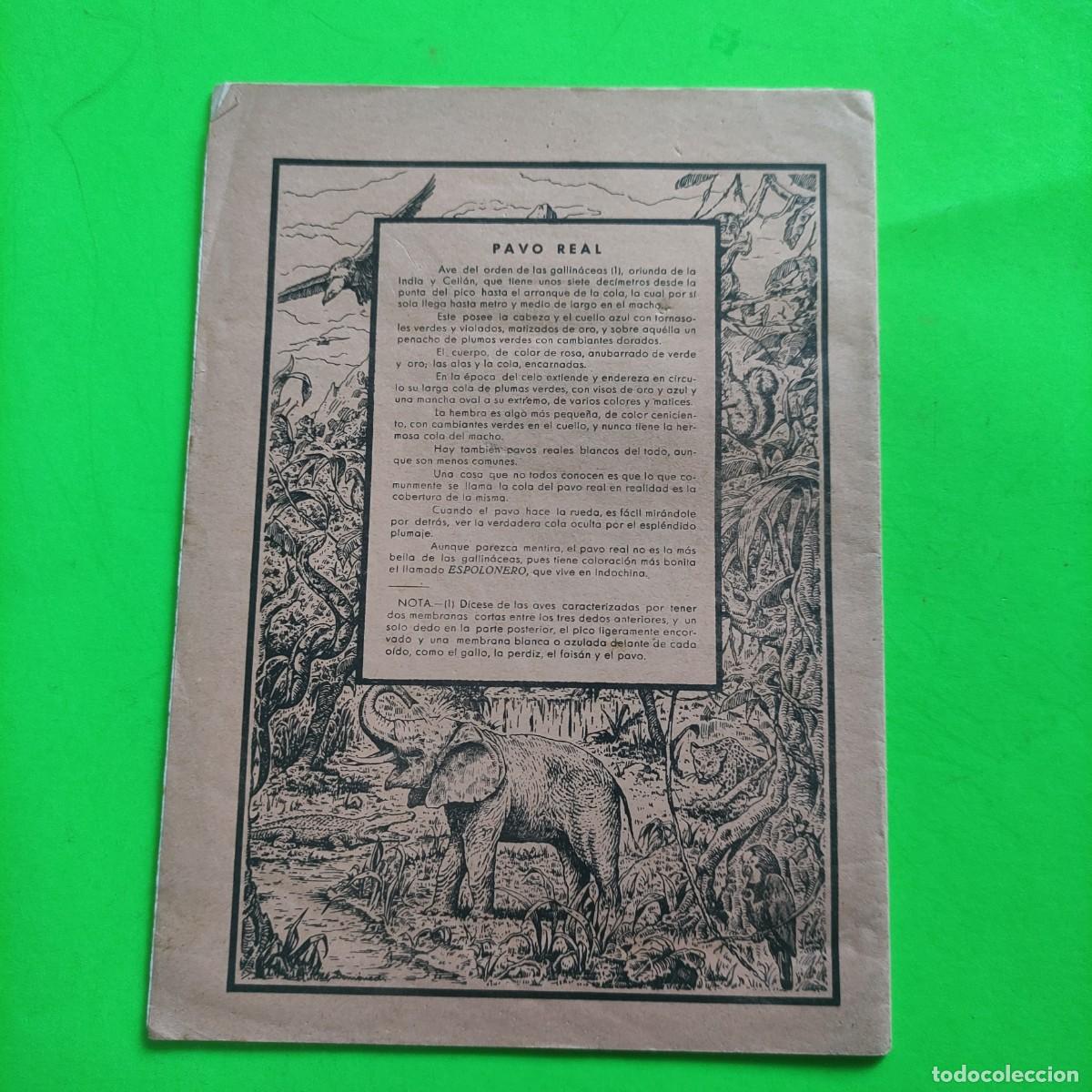Escriban&iacute;a: CUADERNO SAM . PAVO REAL ** 1 RAYA - ESCRITO ** JUANI - Foto 2