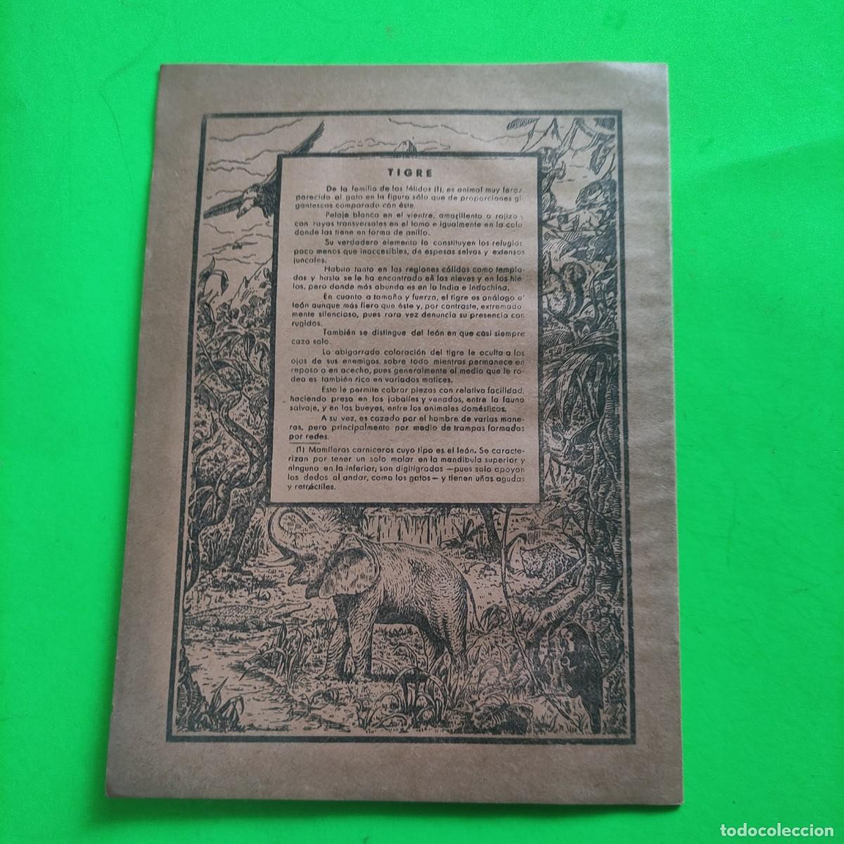 Escriban&iacute;a: CUADERNO SAM . TIGRES DE SIBERIA ** 1 RAYA ** JUANI - Foto 2