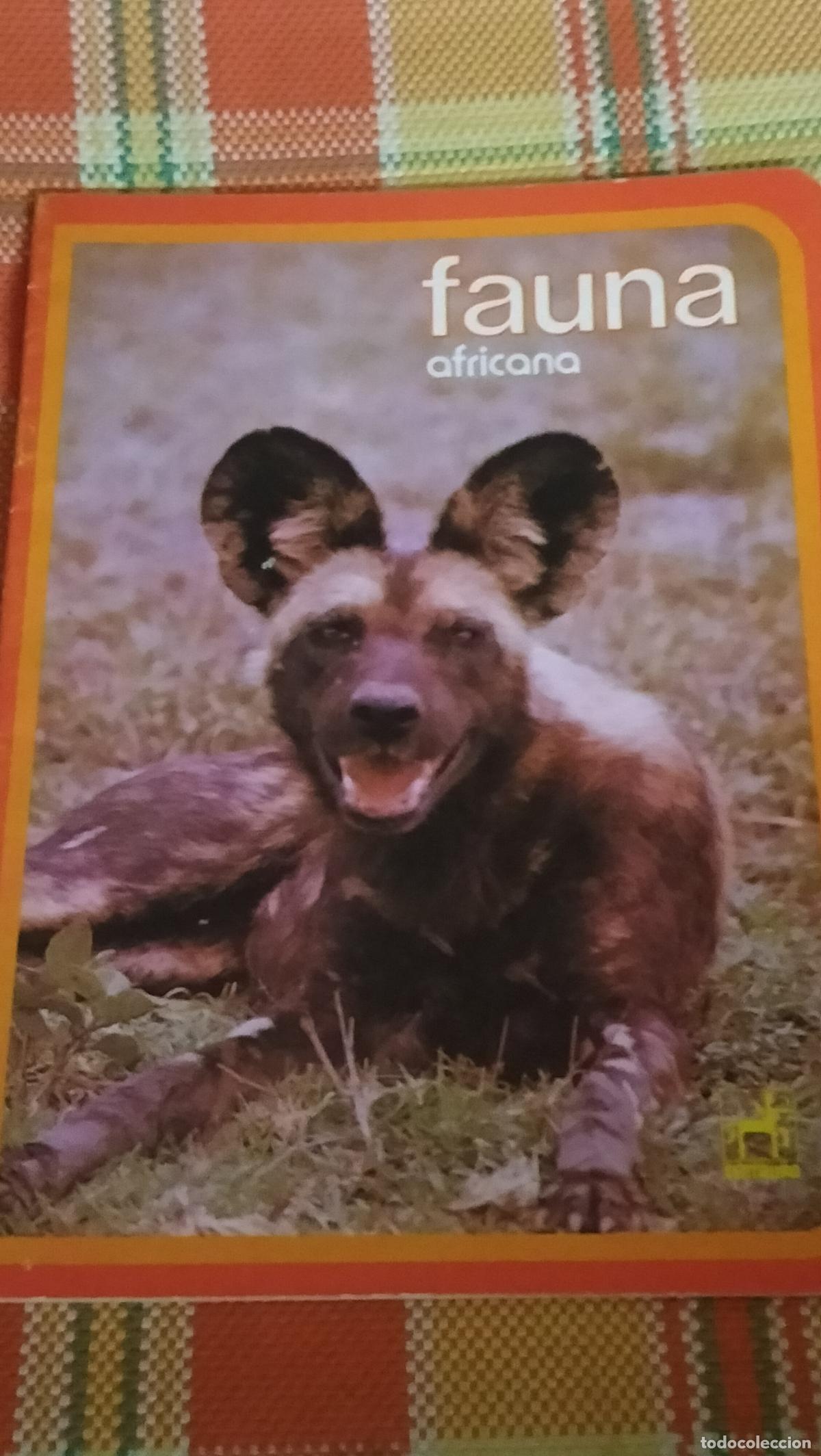 Escriban&iacute;a: ANTIGUO CUADERNO CENTAURO, DE ESCRITURA