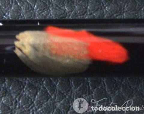 Estilogr&aacute;ficas antiguas, bol&iacute;grafos y plumas: Fabio Fencci Pluma - Foto 3