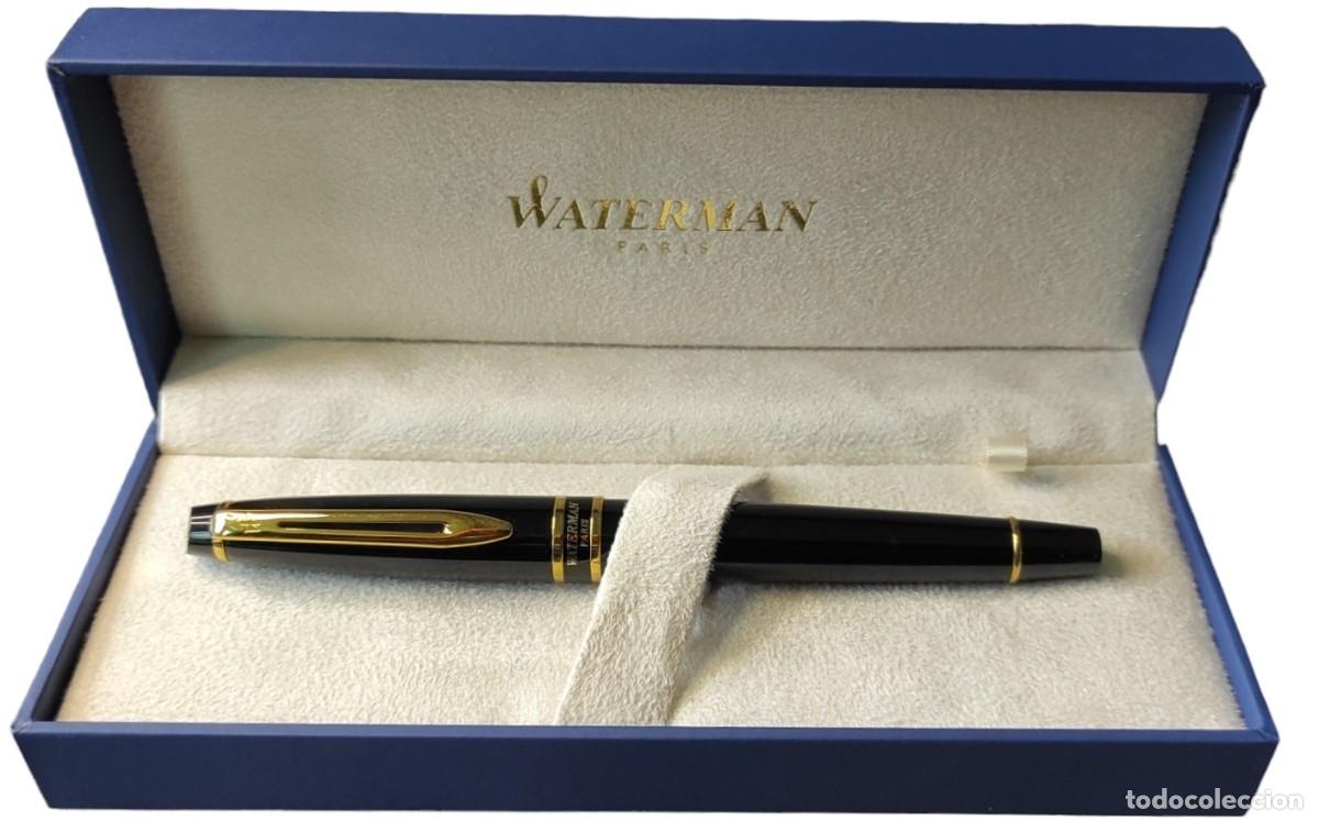 Penna stilografica Waterman Expert