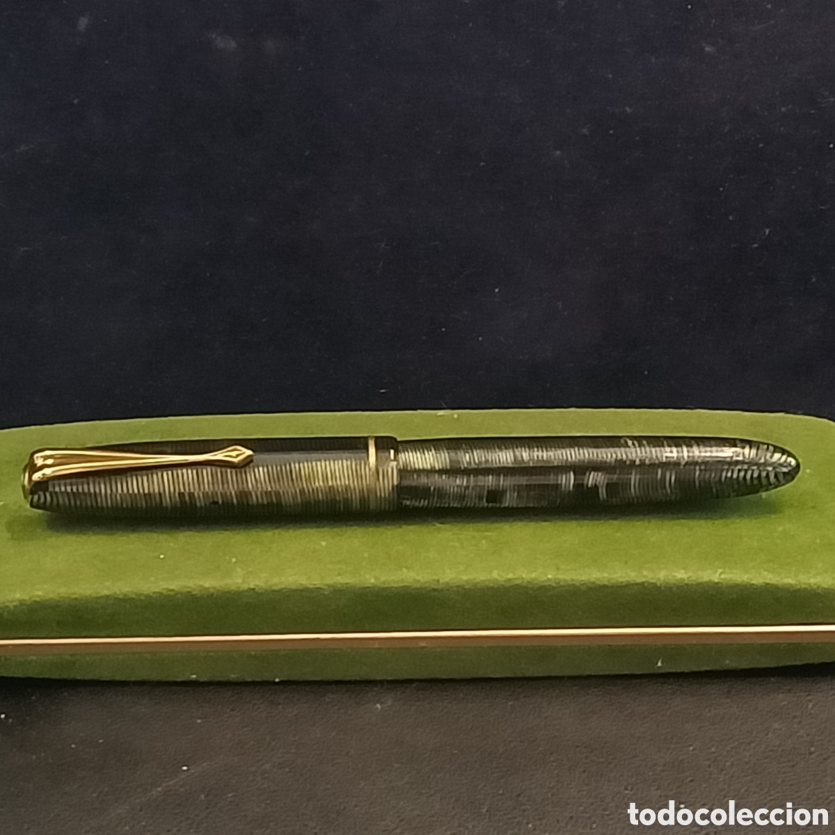 Plumas estilogr&aacute;ficas antiguas: Pluma estilogr&aacute;fica de la marca REGIA SUPER.