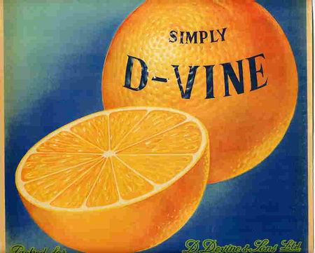 Alte Etiketten: CARTEL ITO ETIQUETA NARANJAS SIMPLIY D-VINE DEVINE Y SONS VALENCIA ORIGINAL K4