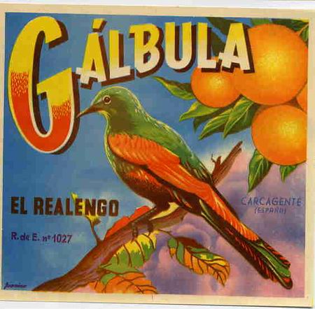 Etiquetas antigas: ETIQUETA PUCLICIDAD , CARTEL ITO NARANJAS GALBULA PEQUE&Ntilde;A PAJARO , ORIGINAL K1