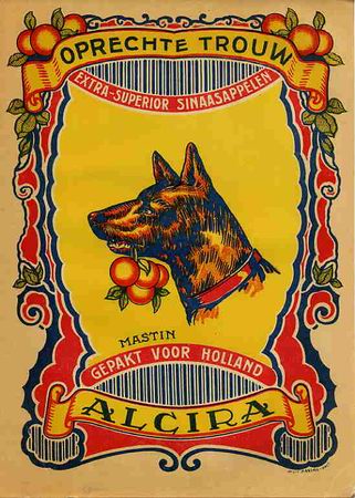 Etichette antiche: CARTEL ITO ETIQUETA NARANJAS PERRO MASTIN OPRECHTE TROUW ALCIRA ANTIGUA VALENCIA ORIGINAL K3