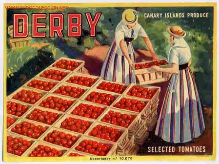 Alte Etiketten: CARTEL ITO ETIQUETA PUBLICIDAD TOMATES DERBY CANARIAS ANTIGUA ORIGINAL K16