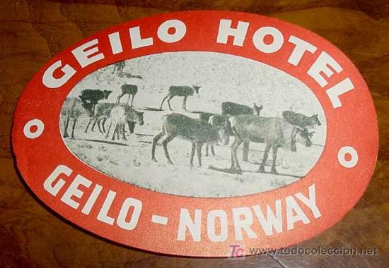 Etiquetas antiguas: ANTIGUA ETIQUETA PARA MALETA - GEILO HOTEL, NORWAY - LABELS BAGGAGE - LABELS HOTEL