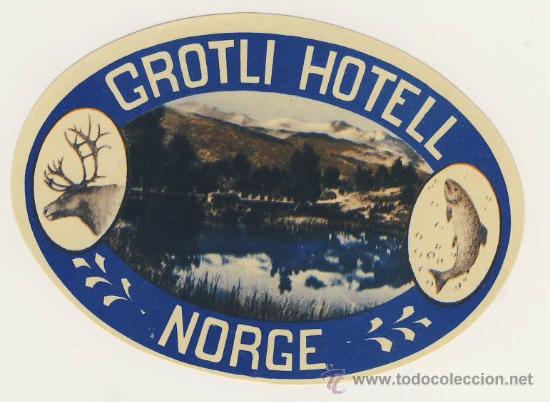 Etiquetas antiguas: Etiqueta Hotel - NORUEGA - HOTEL GROTLI- ILUSTRACION FOTOGRAFICA COLOR-MEDIDAS OVAL 85 X120 mm