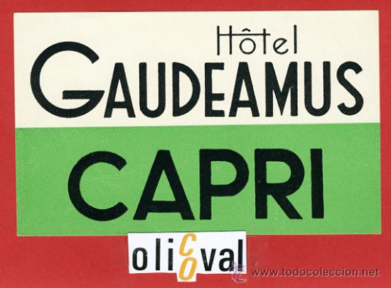 Etiquetas antiguas: ETIQUETA HOTEL -HOTEL GAUDEAMUS -  CAPRI  - -140X87  mm.-HUECO-