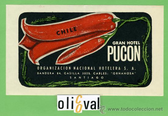 Etiquetas antiguas: ETIQUETA  HOTEL - CHILE -HOTEL PUCON -SANTIAGO -ILUSTRACION  DATADA-HUECO163X95- mm -