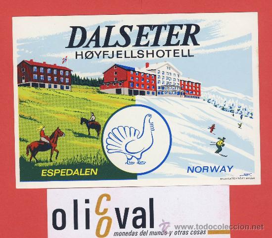 Etiquetas antiguas: Etiqueta Hotel   - NORUEGA-DALSETER  HOTEL-ESPEDALEN -ILUSTRACION DATADA-FIRMADA -110X78mm