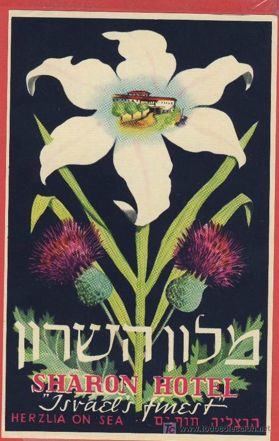 Etiquetas antiguas: ETIQUETA  HOTEL -israel-sharon hotel  hotel - herzlia on sea- magnifica ilustracion  -90 x 140 mm -