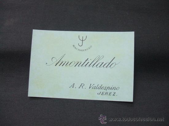 Alte Etiketten: ETIQUETA - AMONTILLADO - MACHARNUDO - A.R. VALDESPINO - JEREZ -