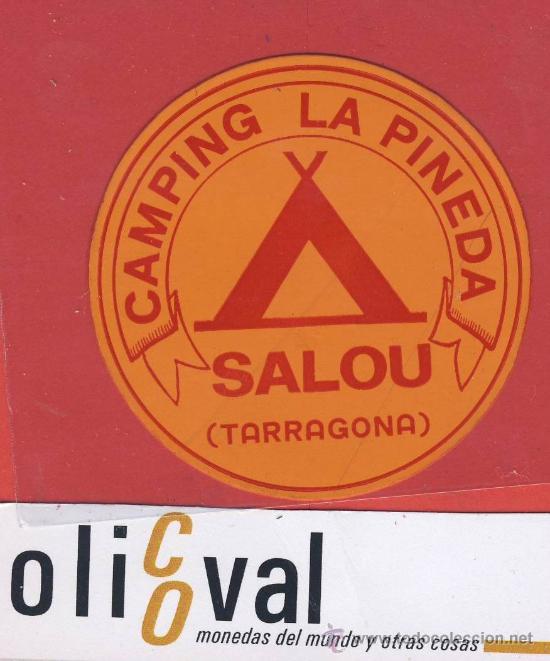 Etiquetas antiguas: ETIQUETA HOTEL-ESPA&Ntilde;A- camping -tarragona-la pineda -salou-naranja-60 mm