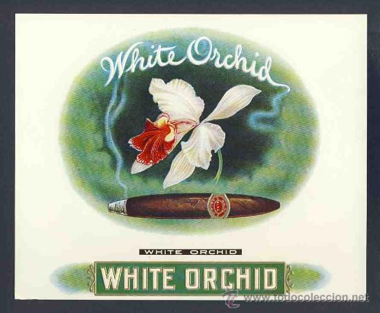 Etiquetas antiguas: Etiqueta de tabaco en relieve: WHITE ORCHID