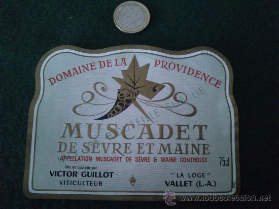 Etiquetas antiguas: 1 etiqueta nueva de vino frances Domaine de la Providence