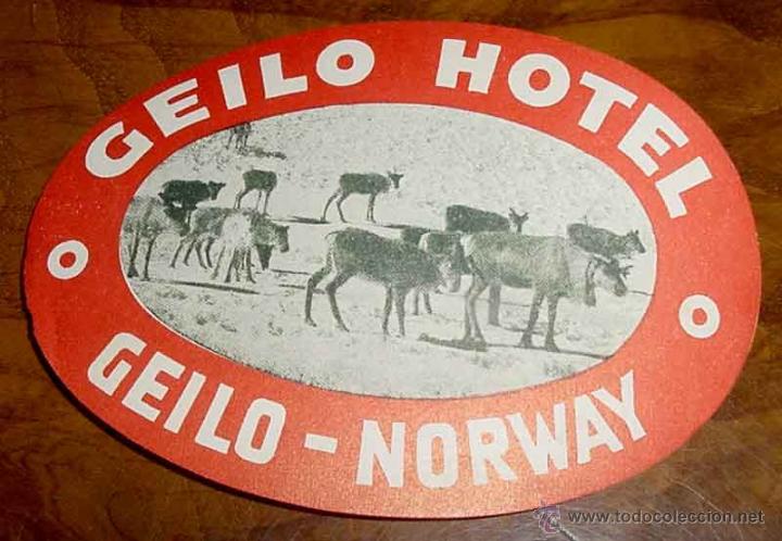 Etiquetas antiguas: ANTIGUA ETIQUETA PARA MALETA CON PUBLICIDAD DEL HOTEL GEILO - NORWAY - TAMA&Ntilde;O POSTAL APROXIMADAMENTE