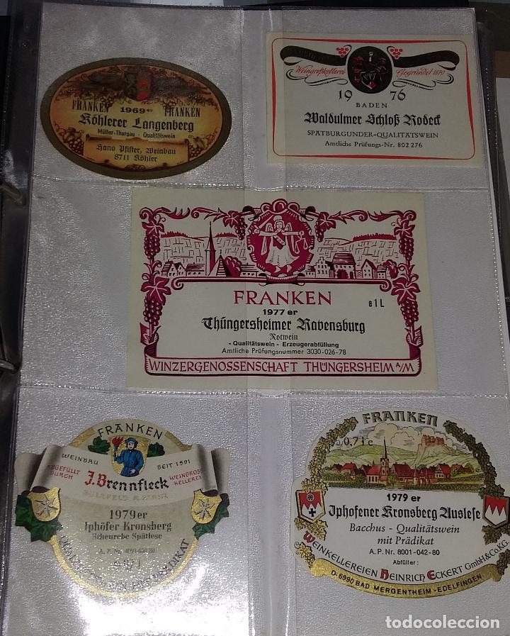 Etiquetas antigas: LOTE DE 256 ETIQUETAS DE VINOS Y LICORES EXTRANJERAS MONTADAS EN HOJAS DE BILLETES. VER FOTOS