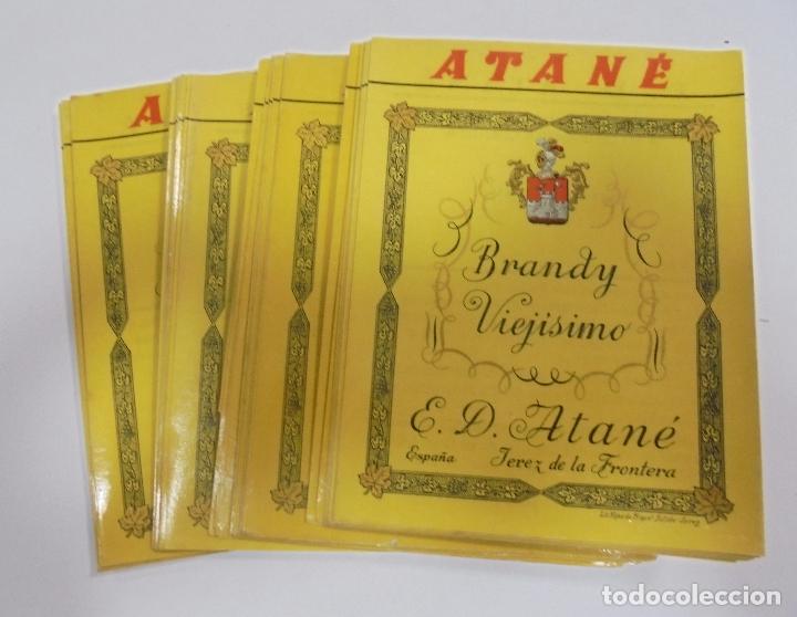 Etiquetas antiguas: LOTE DE 50 ETIQUETAS DE BRANDY VIEJISIMO. ATANE. JEREZ DE LA FRONTERA. 10 X 13CM