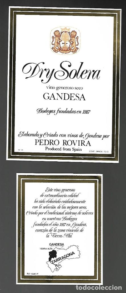 Etiquetas antiguas: ETIQUETA DELANTERA Y TRASERA DRY SOLERA, GANDESA, VINO GENEROSO PEDRO ROVIRA. SIN PEGAR, IMPECABLE.